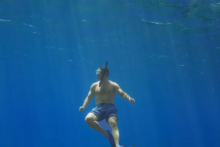 Turtle Town Snorkel & Octopus Guided tour With Photo and Video