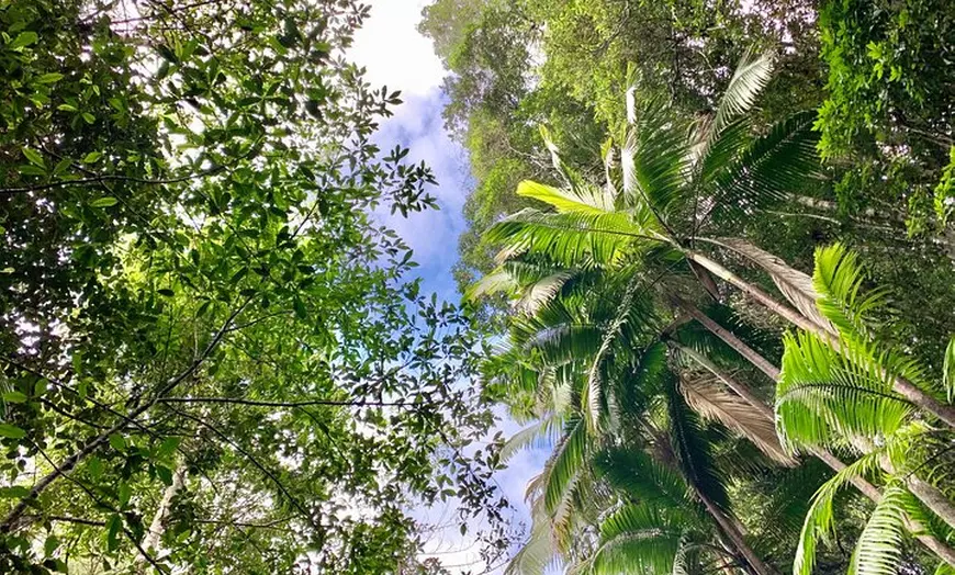 Image 16: Guided E Bike Tour - Unicorn Falls & National Park