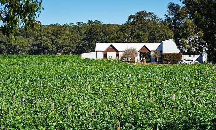 Image 1: Upper Reach Winery: Swan Valley Winery and Vineyard Tour