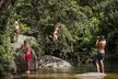 Fun, Falls and Forests Day Trip from Cairns - Image 3
