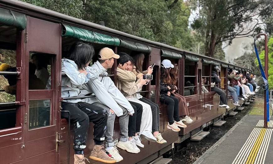 Image 11: Private Puffing Billy Steam Train and Healesville Sanctuary Tours