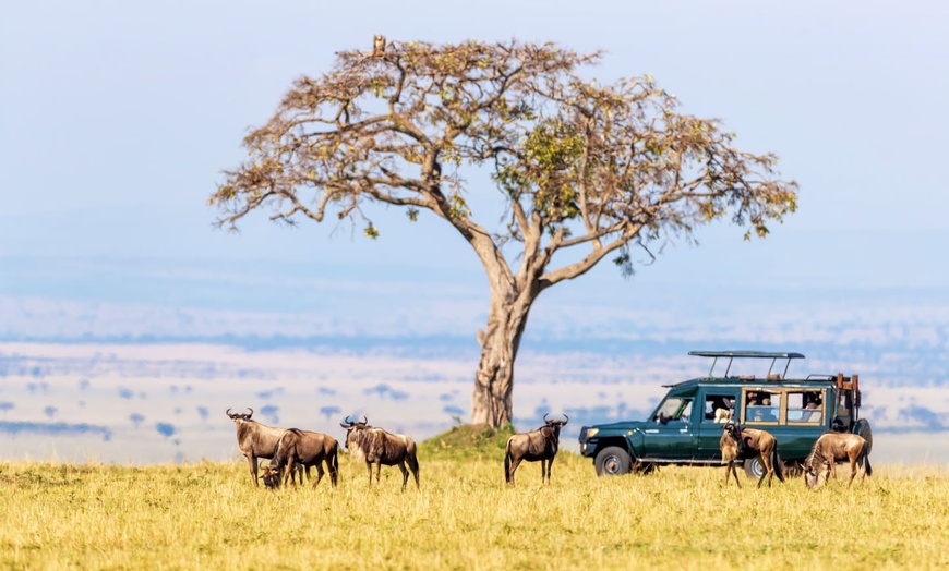 Image 8: ✈ KENYA | Nairobi to Mombasa - The essentials of Kenya on safari & ...