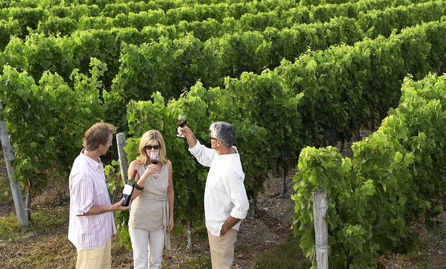 Image 13: Rioja Alavesa: Auténticas experiencias de vino