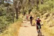 Mount Lofty & Adelaide Hills Guided MTB Tour - Image 4