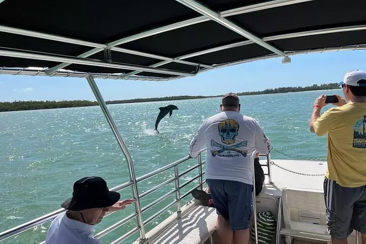 Marco Island Dolphin Sightseeing Tour