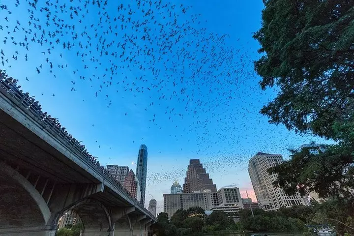 Congress Avenue Bat Bridge Kayak Tour in Austin