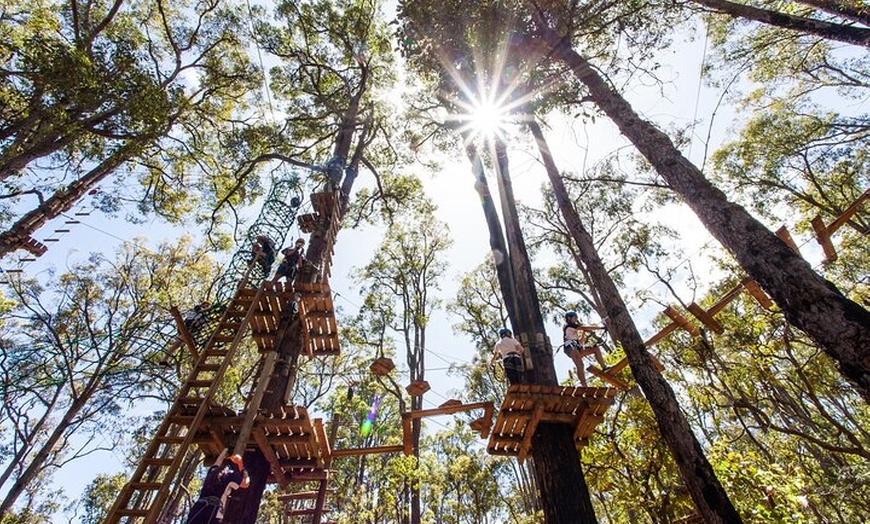 Image 4: Lane Poole Park Dwellingup - Tree Ropes Course