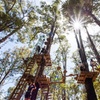 Image 4: Lane Poole Park Dwellingup - Tree Ropes Course