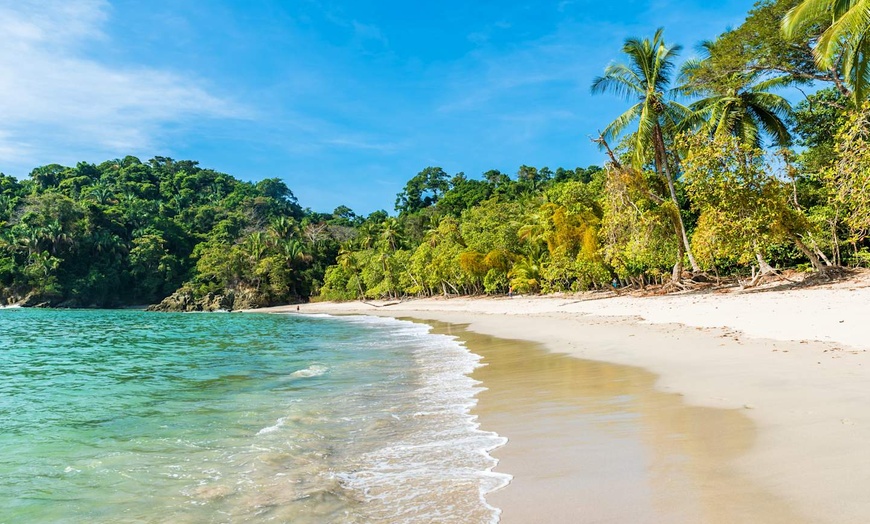 Image 14: ✈ COSTA RICA | San José - Au Cœur de la Nature : Jungle, Plages et ...