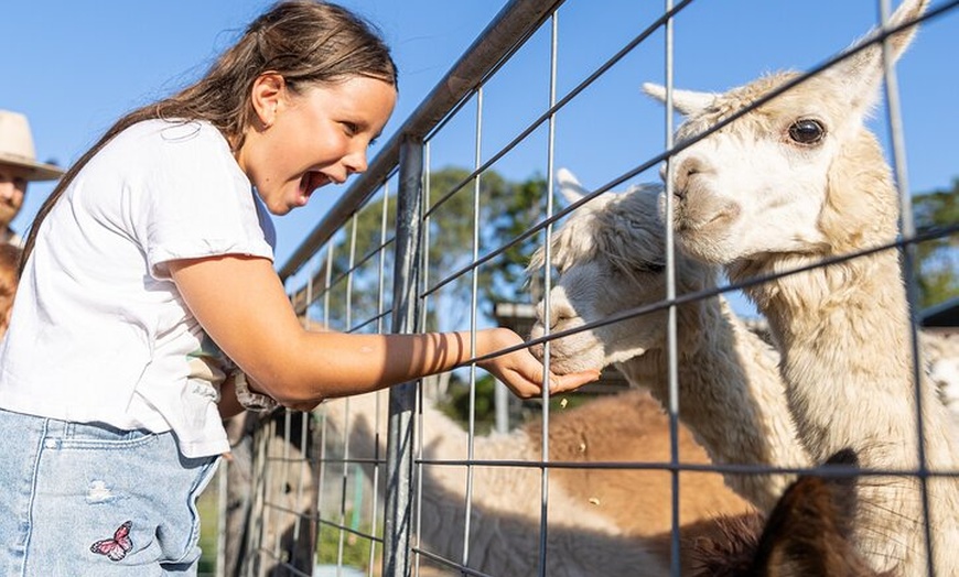 Image 1: Trevena Glen Farm Animal Experience