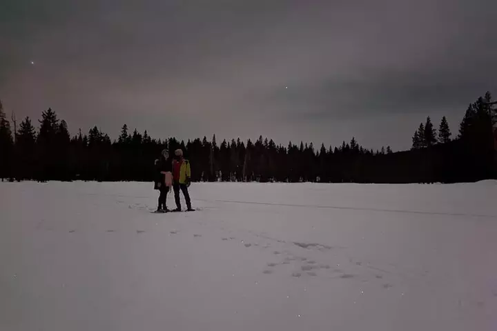 Tahoe National Forest Moonlight Snowshoe Tour Under a Starry Sky