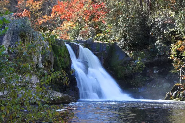 Cades Cove Sightseeing Self-Guided Driving Audio Tour
