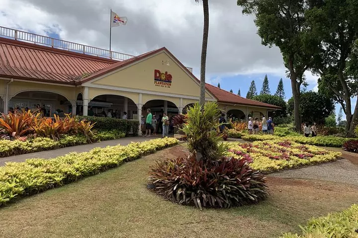 Small Group-Oahu Tour, Dole Plantation, Northshore, Sunset Beach - Second Medium
