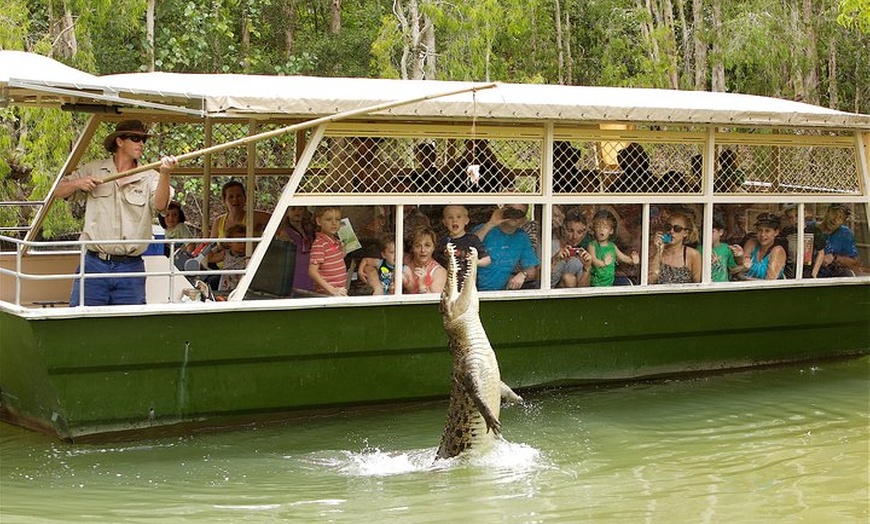 Image 4: Hartley's Crocodile Adventure Half-Day Tour