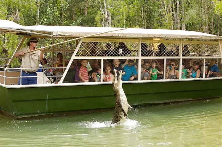 Hartley's Crocodile Adventures Half-Day Tour from Cairns