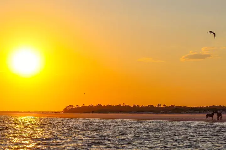 Private Boat Tour: Amelia & Cumberland Island (Up to 12 Guests) - Primary Image