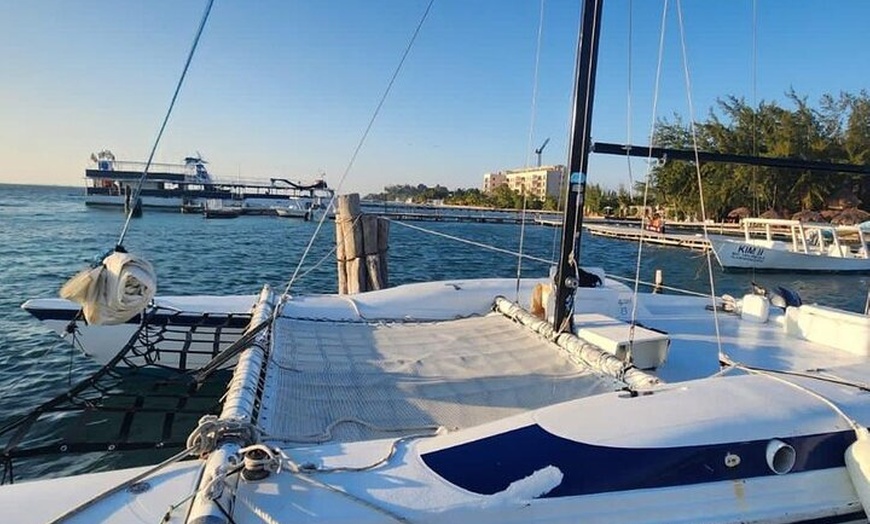 Image 5: Private Catamaran Tour to Isla Mujeres