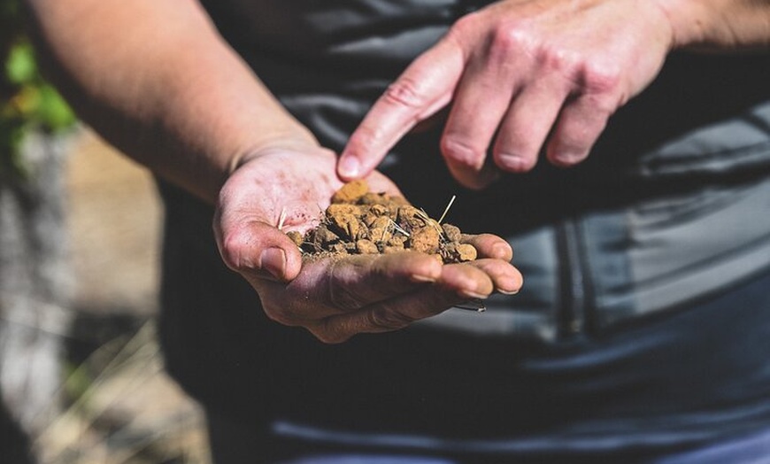 Image 5: Unearth Voyager