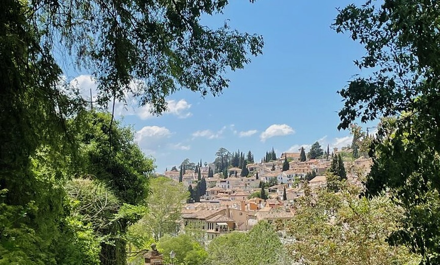 Image 6: Caza del carroñero de Granada autoguiada