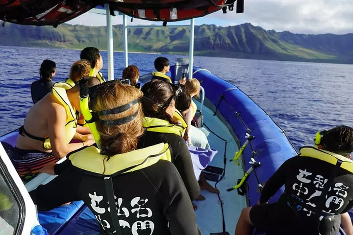 Oahu Swimming with Dolphins Speedboat Adventure