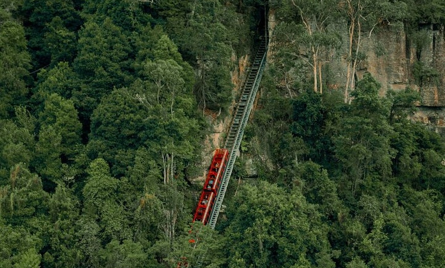 Image 11: Small All Inclusive Blue Mountain,Scenic World,Lunch,Koalas,ferry