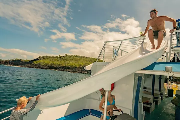 Deluxe Snorkel & Dolphin Watch Aboard a Luxury Catamaran from Kailu...