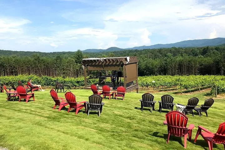 Half-Day North Georgia Wine Country Tour From Atlanta