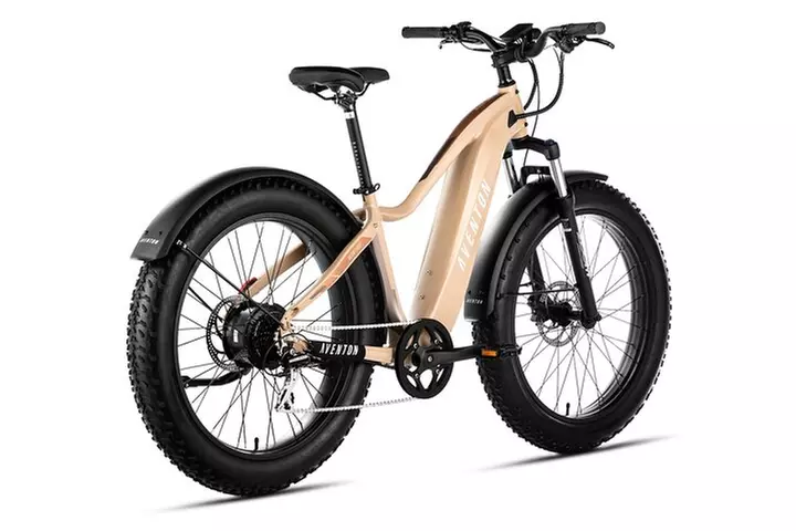 E-Bike Adventure 2HR - Second Medium