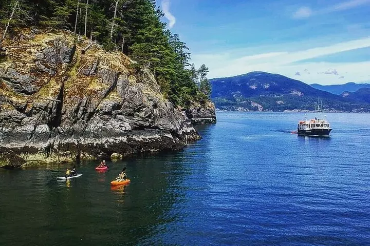 Morning Kayak & Seal Cruise - Primary Image