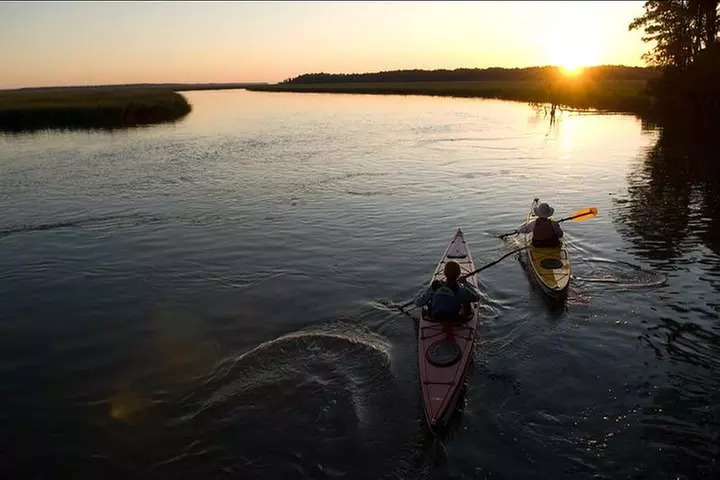2-Hour Hilton Head Guided Kayak Nature Tour