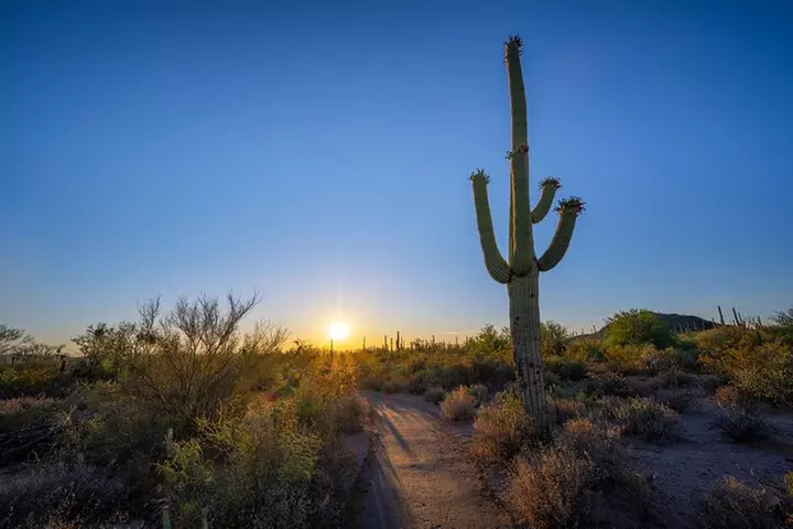 Saguaro National Park Self-Guided Driving Audio Tour