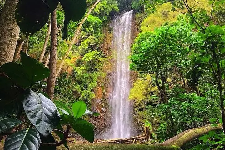 Kauai Adventure: Kayak & Hike to Secret Falls with Expert Guide