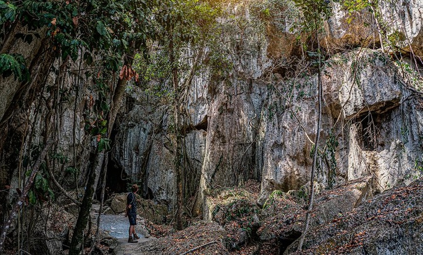 Image 11: Capricorn Caves Cathedral Cave Tour