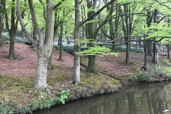 1-Hour Public Cruise