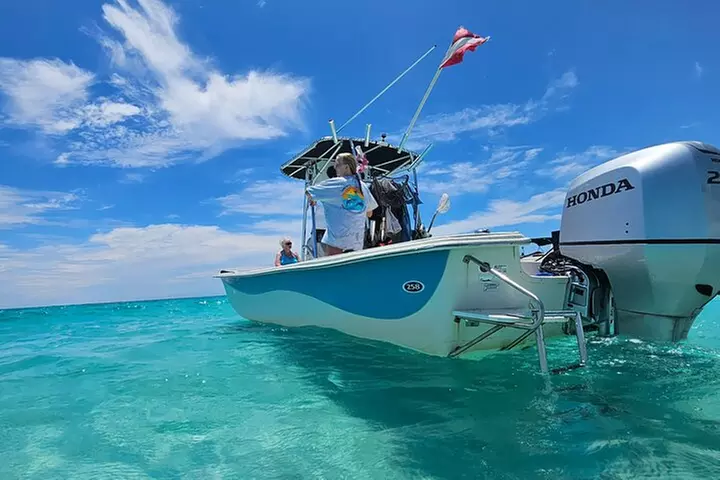 4 Hour Eco Dolphin Tour in Panama - Primary Image