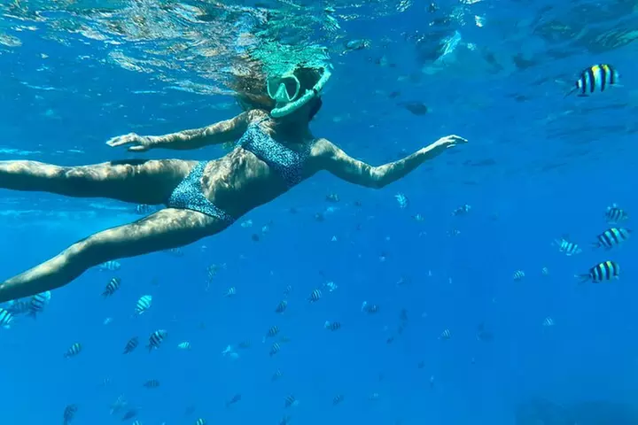 Hawaiian Culture & Snorkel Adventure with Photo/Videos - Primary Image