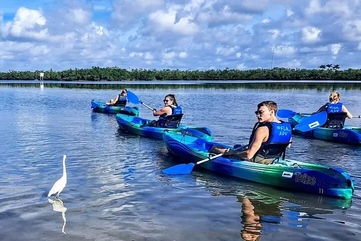 Rookery Bay Kayak Adventure – Mangroves, Wildlife & Photos