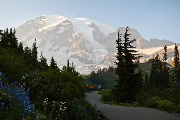 Best of Mount Rainier National Park from Seattle: All-Inclusive Sma...
