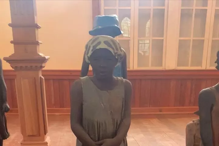 Whitney Plantation and Soul of New Orleans City Tour Combo