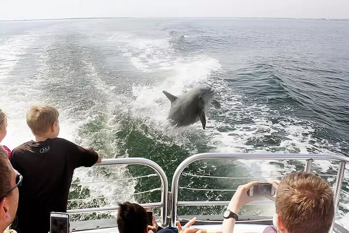 Daily Dolphin Cruise + Sightseeing Tour on Pensacola Beach