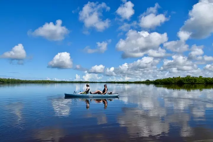 Deluxe Kayak Tour Marco Island and Naples, Florida