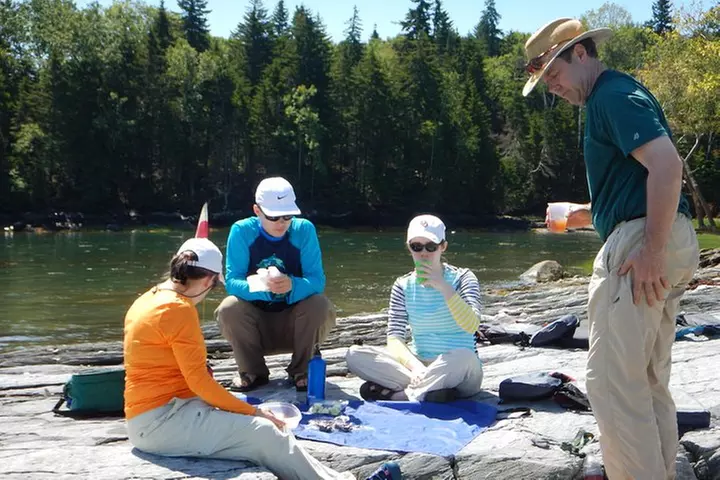 Oyster Farm & Complimentary Tasting Sea Kayak Tour in Casco Bay