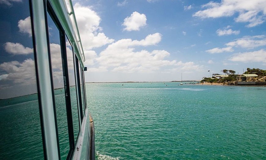 Image 6: Coorong 6-Hour Adventure Cruise