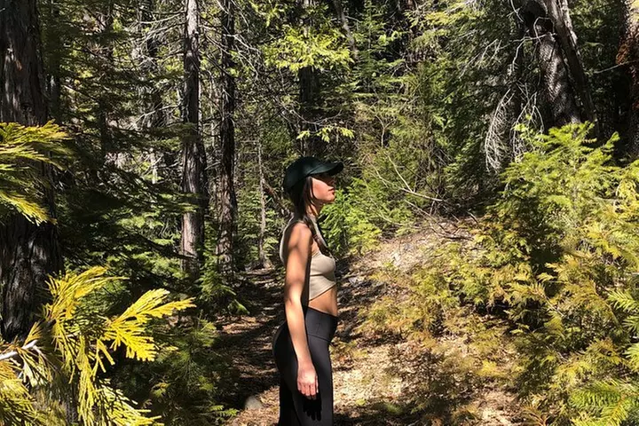 Redwoods Forest Bathing