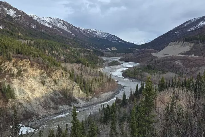 Denali National Park Shuttle