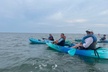 Dolphin Kayak Tour in Virginia Beach Must know how to swim - Second Medium