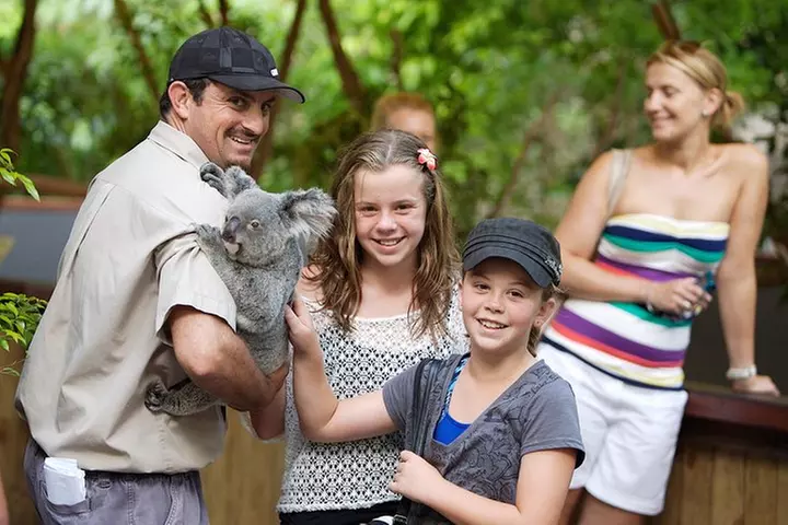 Hartley's Crocodile Adventures Half-Day Tour from Cairns