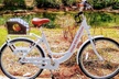 Village Bicycle Rental Free Delivery in The Villages Florida - Second Medium