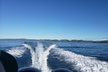 La Parguera Private Boat Charter - Second Medium