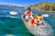 Lake Tahoe Clear Kayak Adventure at Stateline Nevada - Second Medium